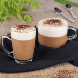 Mousse Café façon Cappuccino Alsa professionnel