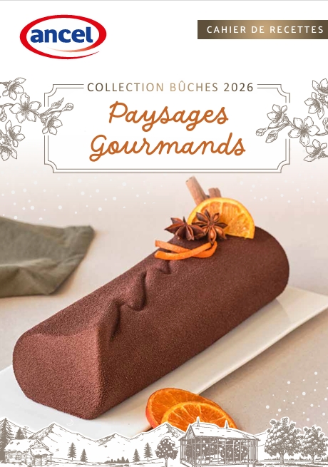 Collection bûches 2026