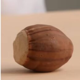 Noisette en trompe l’œil