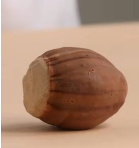 Noisette en trompe l’œil