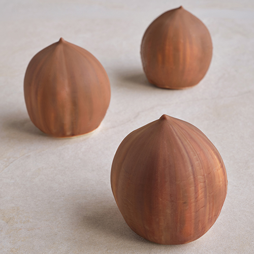 Noisette en trompe l’œil