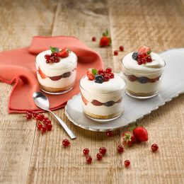 Tiramisu aux Fruits Rouges alsa Professionnel